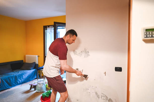 Brooksville, FL Mold Removal Company